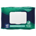 Prevail Adult Personal Wipes, Unscented