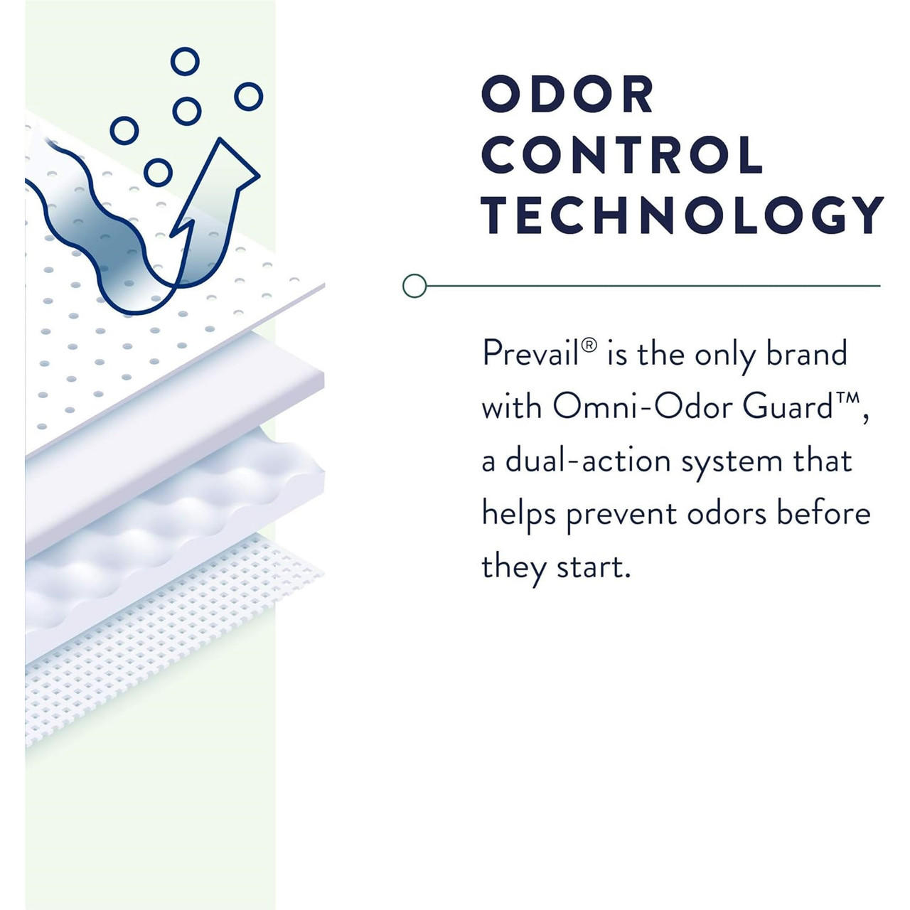 Prevail Daily Underwear, Maximum Absorbency