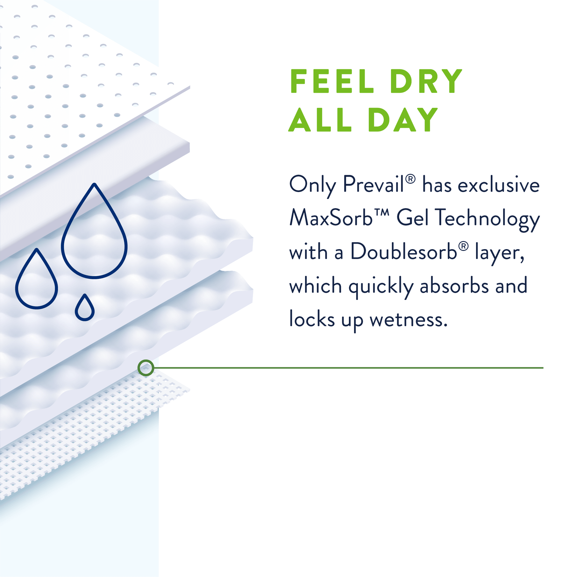 Prevail Per-Fit360 Daily Briefs, Maximum Plus Absorbency